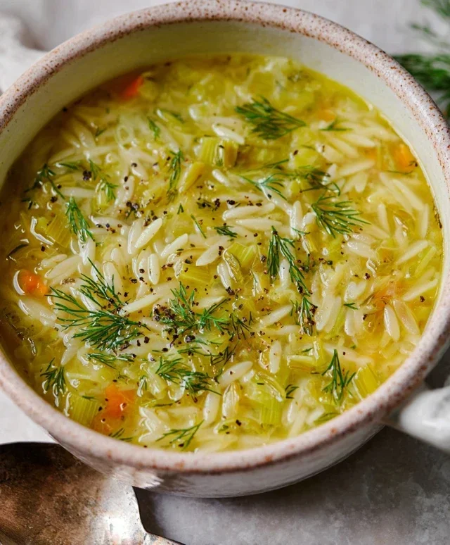 Orzo Leek and Dill Soup